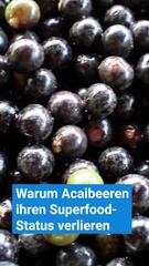 Warum Acaibeeren ihren Superfood-Status verlieren