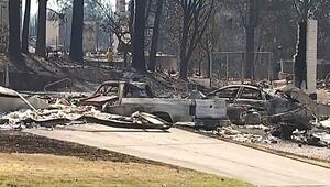 Apokalyptischer Anblick: Waldbrände hinterlassen völlige Verwüstung in Washington