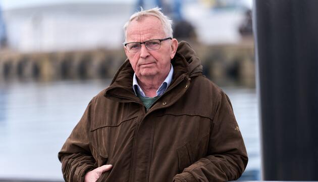 Buckelwal liegt in Wismarer Bucht