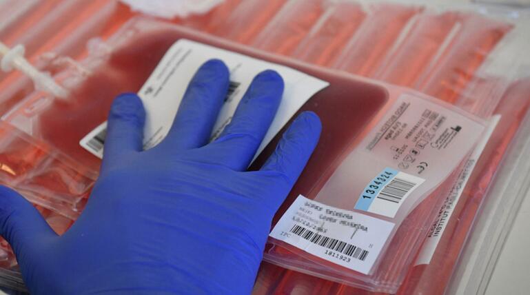 T-Zellen aus patienteneigenem Blut werden modifiziert