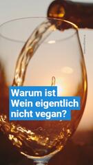 Ist Wein vegan?