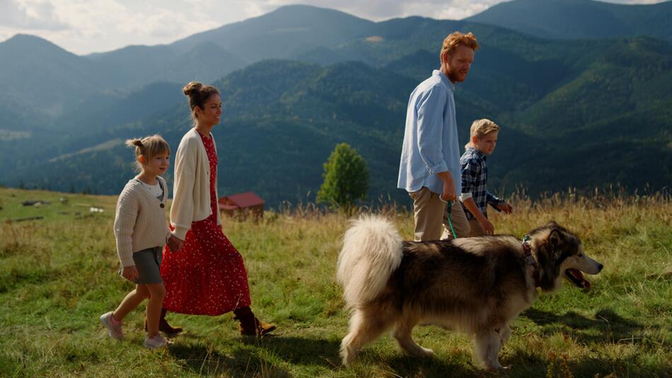 Urlaub mit Hund: Die hundefreundlichsten Reiseziele Europas