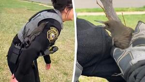 Beamtin wird zum Baum: Specht landet auf Polizistin und bleibt einfach sitzen