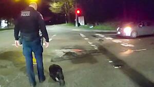 Entschlossener Biber: Polizei kämpft mit sturem Tier auf der Straße