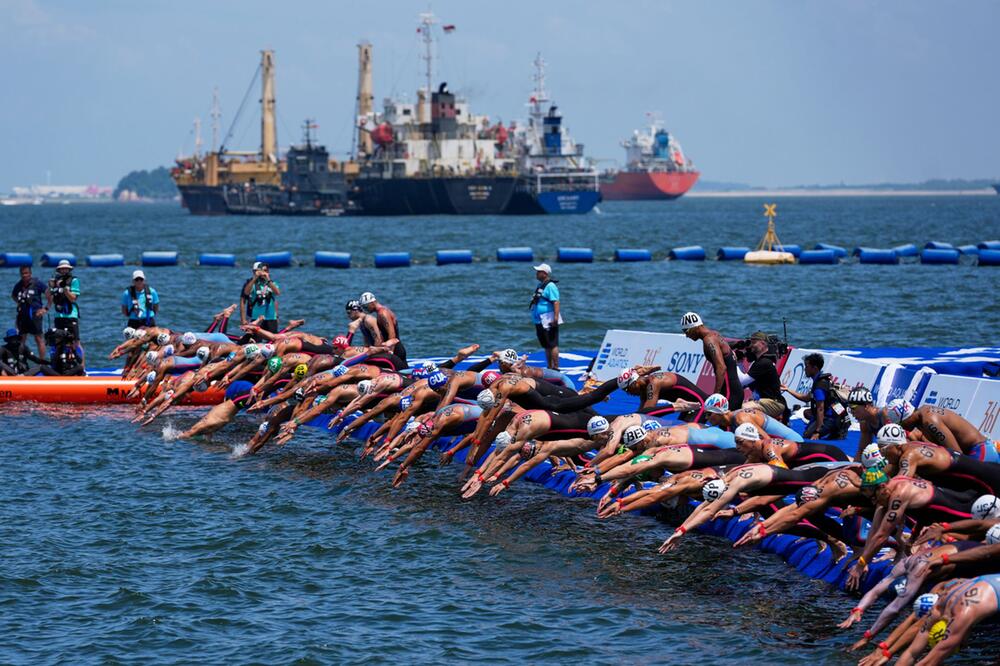 Schwimm-WM in Singapur - Freiwasser