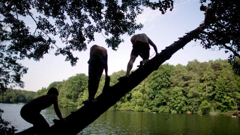 Wer kämpft für die Umwelt?