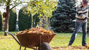 Im Herbst gibt es im Garten einiges zu tun.