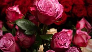 Blumen zum Valentinstag