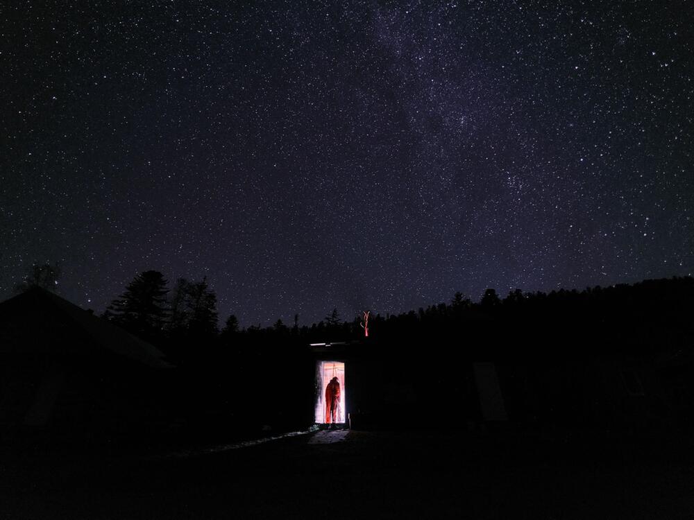 "Nature"-Fotowettbewerb - Forschende im Fokus