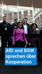 AfD und BSW in Gesprächen über mögliche Kooperation