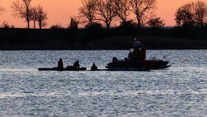 Weitere Entwicklung zum Buckelwal in der Ostsee