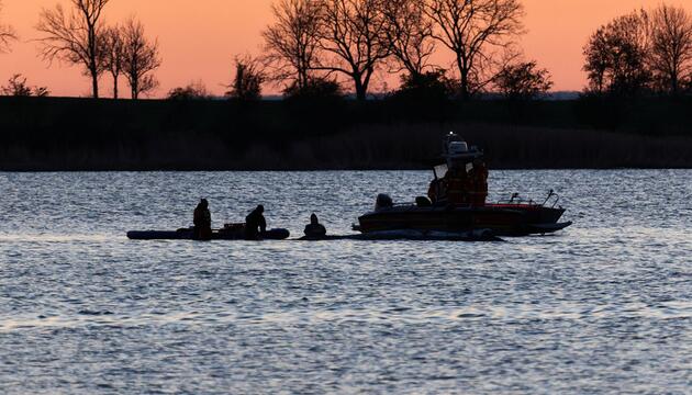 Weitere Entwicklung zum Buckelwal in der Ostsee
