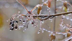 Wetterwechsel: Es wird milder und nasser