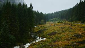 Norwegisches Tal