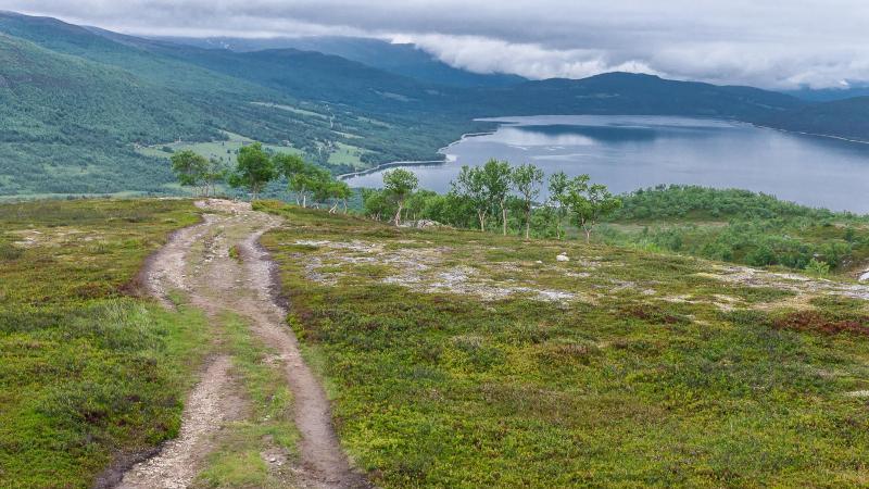 Jedermannsrecht in Skandinavien