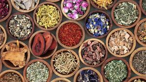 Die ayurvedische Küche arbeitet mit aromatischen Gewürzkombinationen.