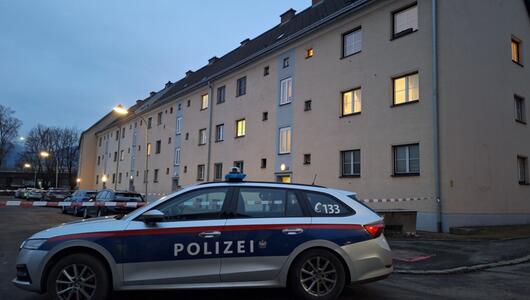 Bluttat in Leoben - Mutter gestand, Sohn getötet zu haben