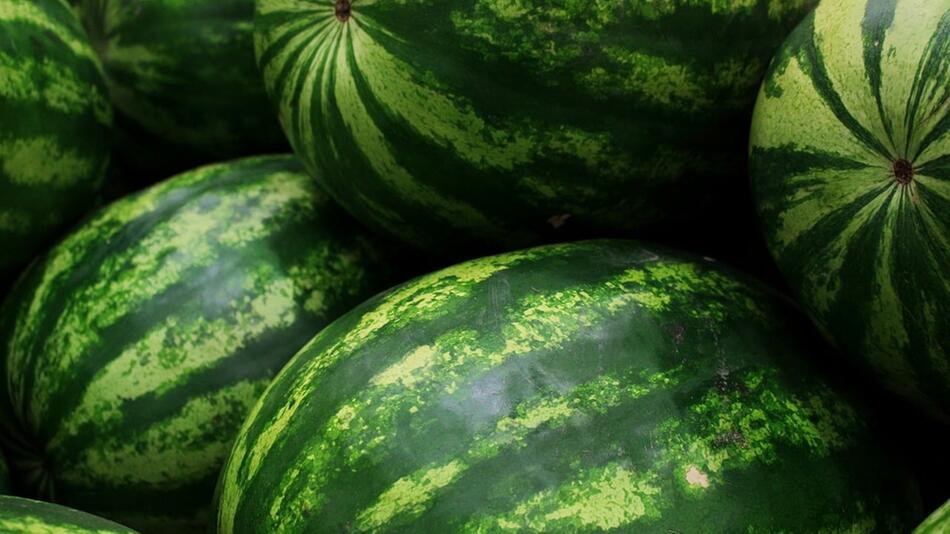 Wassermelone Haltbarkeit