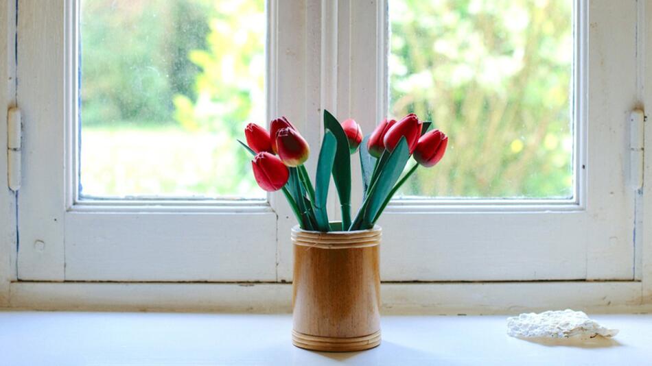 Richtiges Lüften im Frühling: Warum du abends die Fenster schließen solltest