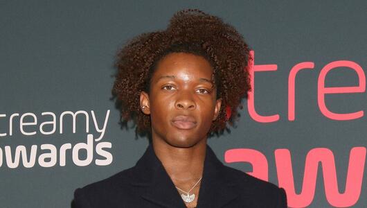 Der Sänger D4vd wurde festgenommen.