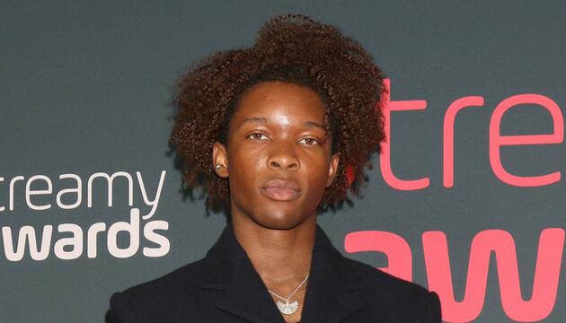 Der Sänger D4vd wurde festgenommen.