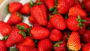 Erdbeeren