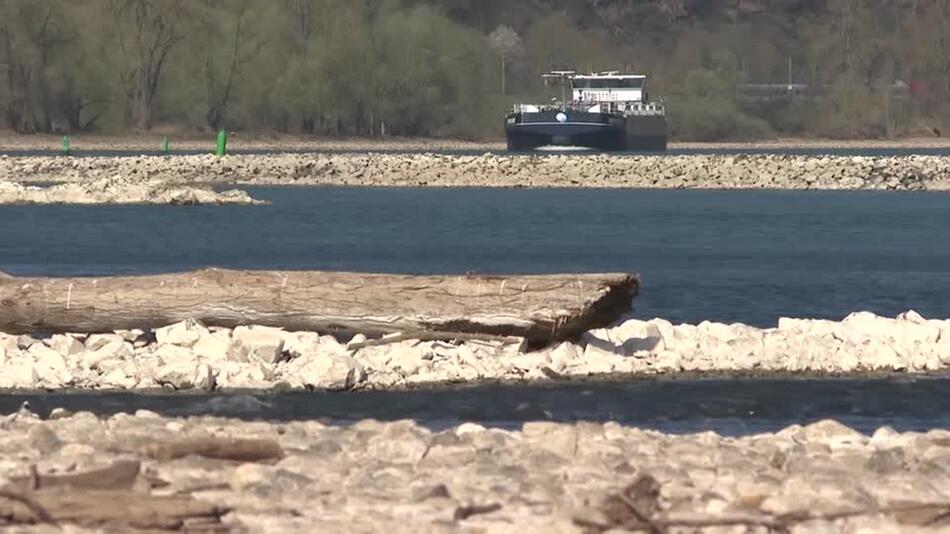 Bundesumweltminister Schneider: Niedrigwasser im Mai Folge des Klimawandels