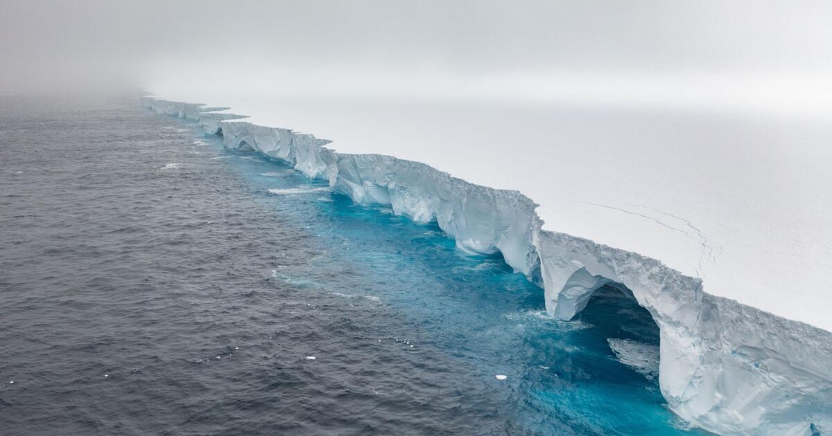 Goddessguzman onlyfans leaks your search for goddessguzman