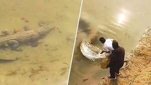 Krokodil für tot gehalten: Jugendliche spielen mit dem Feuer