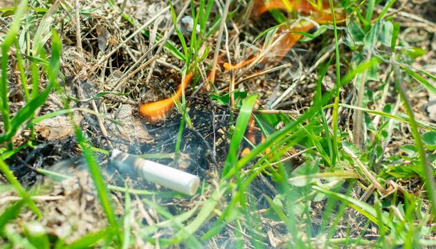 Zigarette verursacht einen gefährlichen Brand im Wald