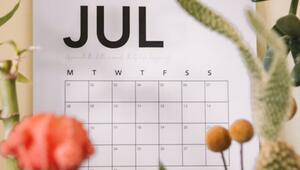 Kalenderblatt für den Monat Juli, umgeben von unscharfen Pflanzen und Blumen im Vordergrund.