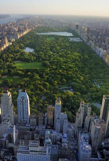 Central Park in New York