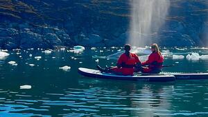 Atemberaubend nah: Wal überrascht Paddler vor Grönlands Küste