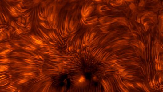 Astronomy-PotY 2025