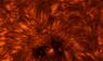 Astronomy-PotY 2025