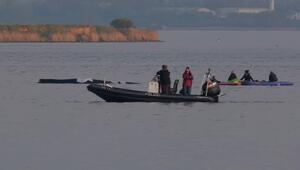 Rettung mit Risiko: Schafft es der Wal zurück ins Meer?