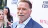 Arnold Schwarzenegger hat den größten Verdienst seiner Hollywood-Karriere enthüllt.