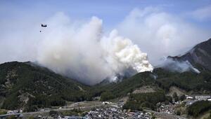 Waldbrand im Nordosten Japans