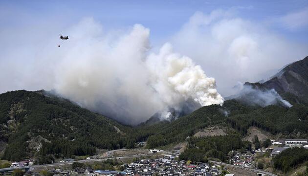 Waldbrand im Nordosten Japans