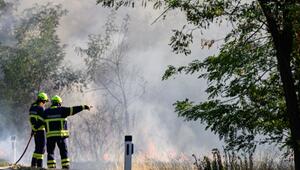 Feuer konnte unter Kontrolle gebracht werden