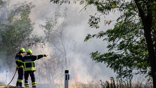 Feuer konnte unter Kontrolle gebracht werden