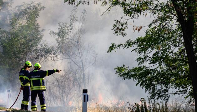 Feuer konnte unter Kontrolle gebracht werden