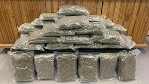 Große Schlagen gegen Drogen-Dealer in Wien