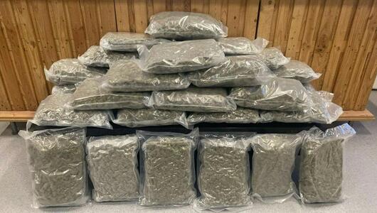 Große Schlagen gegen Drogen-Dealer in Wien