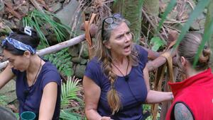 Nicole Belstler-Boettcher