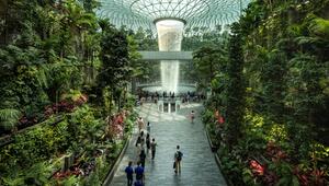 Der Changi Airport in Singapur beeindruckt mit üppigen Gärten und außergewöhnlicher Architektur.