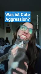 Cute Aggression erklärt