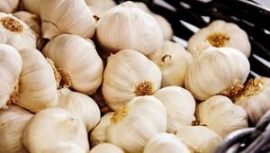 Knoblauch liegt in einem Korb