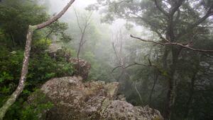 Shenandoah-Nationalpark in den USA