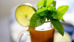 Fenchel-Minztee der ideale Tee für die Nacht